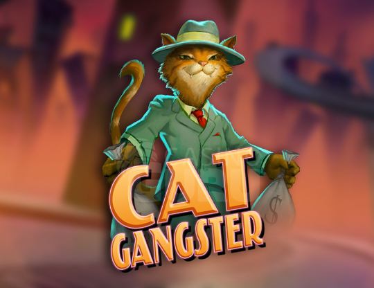 Cat Gangster